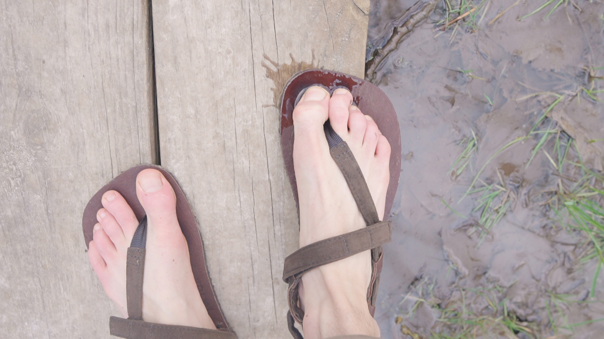 Toetem Alpha Blackbear Barefoot Sandals Review Wet Water Hiking Trail